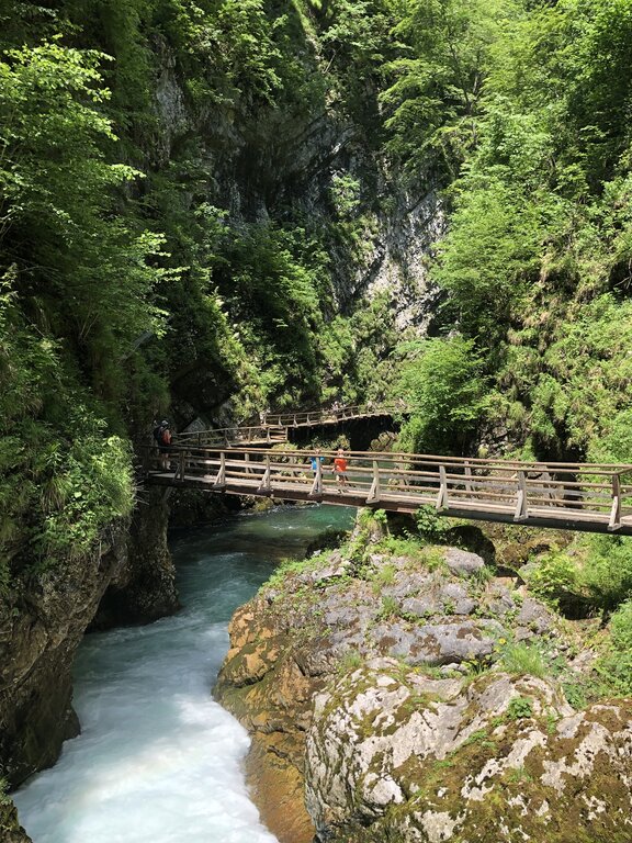 A wooden footbridge spans the rushing river in Vintgar Gorge, Slovenia, surrounded by towering rock walls and lush greenery. Two children, one wearing an orange shirt and the other in blue, walk along the bridge, admiring the scenic landscape. The turquoise water flows swiftly beneath the bridge, framed by moss-covered rocks and steep cliffs.