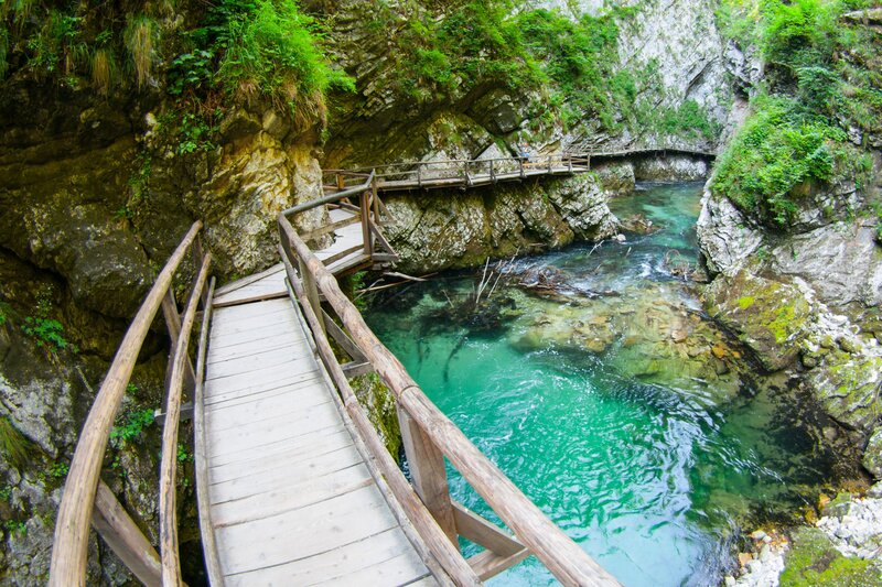 A scenic wooden boardwalk winds through Vintgar Gorge in Slovenia, suspended over a crystal-clear turquoise river. The rugged rock walls, covered in lush green vegetation, tower above the tranquil water, creating a picturesque nature escape. The boardwalk curves gently, inviting exploration through the dramatic landscape.