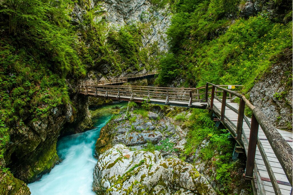 A wooden boardwalk with railings winds along the cliffs and over a rushing turquoise stream in Slovenia’s Vintgar Gorge, surrounded by steep rocky walls and dense green foliage.