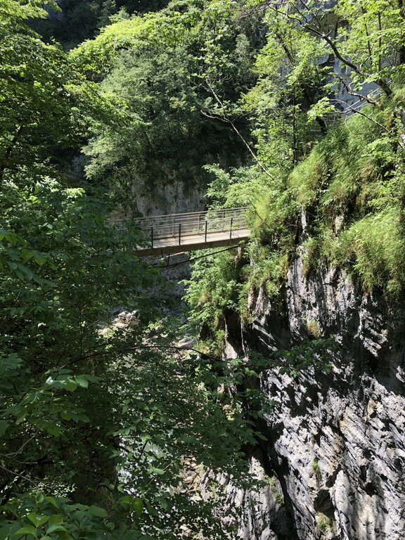 A narrow wooden footbridge spans a deep, rocky gorge surrounded by lush greenery and steep limestone cliffs, creating a dramatic crossing point along a scenic trail at Skocjan Cave Slovenia