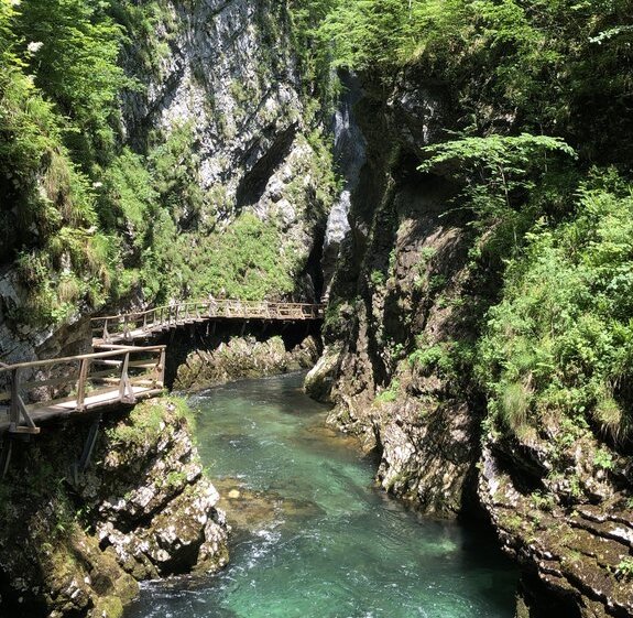 A wooden boardwalk winds along the steep rock walls of Vintgar Gorge in Slovenia, following the path of a clear turquoise river. The gorge is framed by towering cliffs covered in lush green vegetation, with sunlight filtering through the trees. The calm water flows gently beneath the walkway, leading deeper into the dramatic canyon landscape.