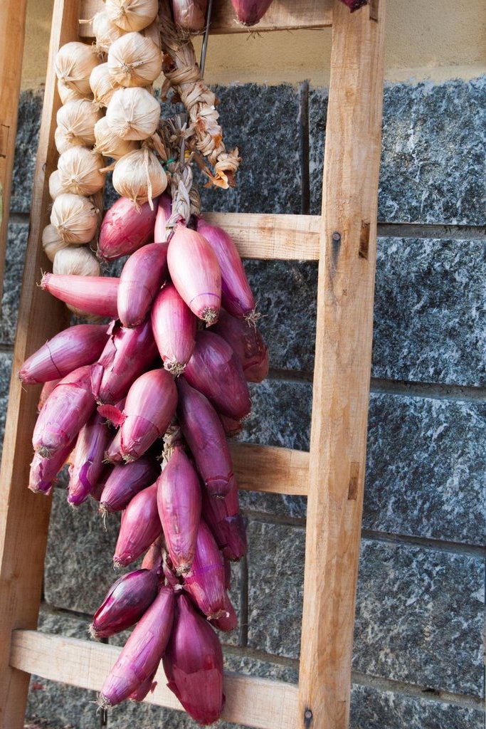 A bunch of vibrant Tropea red onions and braided garlic bulbs hang from a wooden ladder against a rustic stone wall, showcasing traditional Calabrian food preservation.