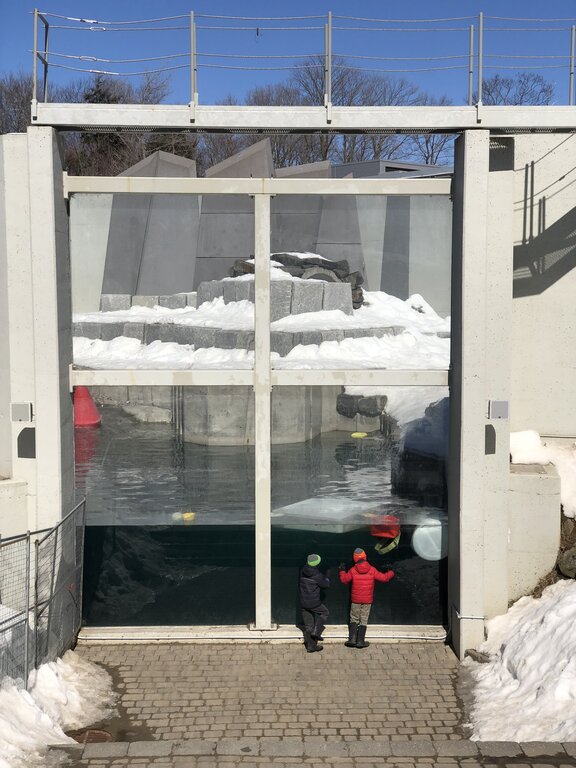 Two children look into the large underwater viewing window of the polar bear habitat at the Quebec Aquarium, with icy snowbanks above and frigid water below. The immersive design simulates the Arctic environment.
