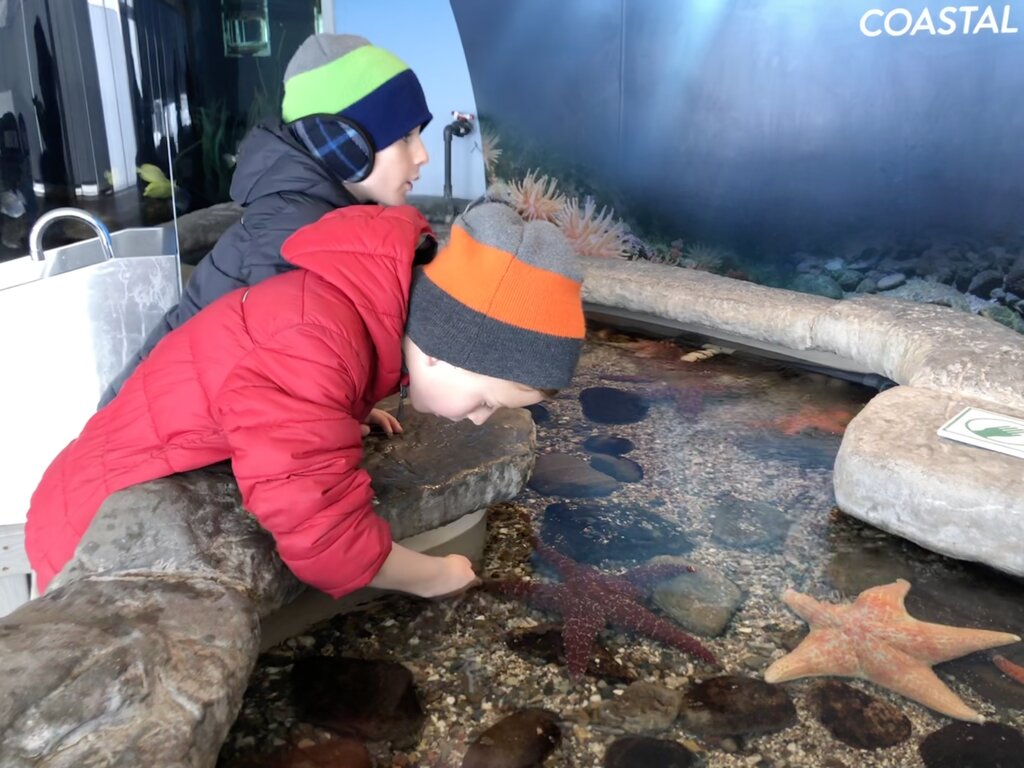 A child leans over a tide pool exhibit to touch a sea star while another watches, both bundled in winter gear inside the Quebec Aquarium. The tank features starfish, pebbles, and clear shallow water for hands-on exploration.