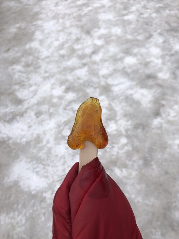 A hand in a red coat holds a maple taffy treat on a stick, shaped like a maple leaf, with snow-covered ground in the background. This sweet snack is a seasonal favorite in Quebec in winter.