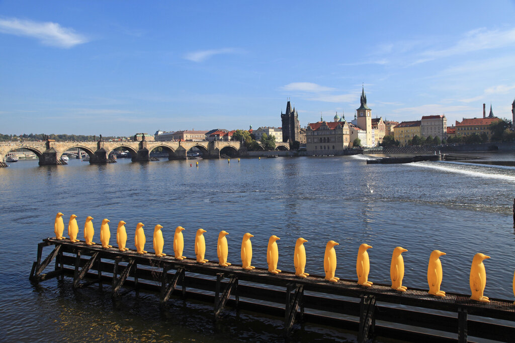 A row of bright yellow penguin sculptures stands on a wooden platform extending over the Vltava River in Prague, with the historic Charles Bridge and Old Town skyline in the background. The playful art installation contrasts with the city's medieval architecture under a clear blue sky.