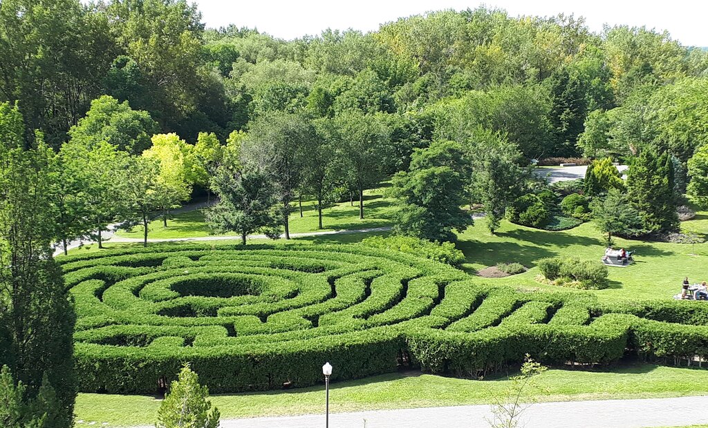 Aerial view of a circular hedge maze surrounded by green trees and open grassy areas in a park on a sunny day.