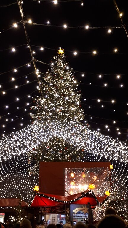 A massive Christmas tree at night, glowing with thousands of white lights and a star on top, surrounded by strings of lights forming a canopy overhead.