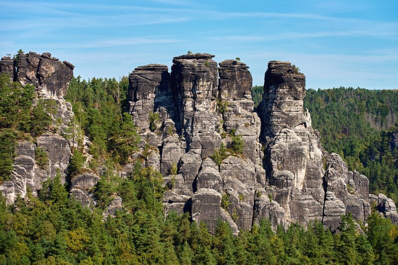 Towering sandstone rock formations rise above a dense forest of green pine trees under a clear blue sky. The rugged cliffs in Bohemian and Saxon Switzerland National Park feature vertical grooves and ledges, showcasing natural erosion patterns that contrast sharply with the surrounding greenery.
