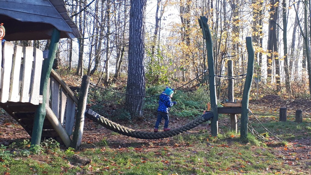 A young child walks across a low rope bridge in a nature-themed playground surrounded by forest trees and fallen leaves.