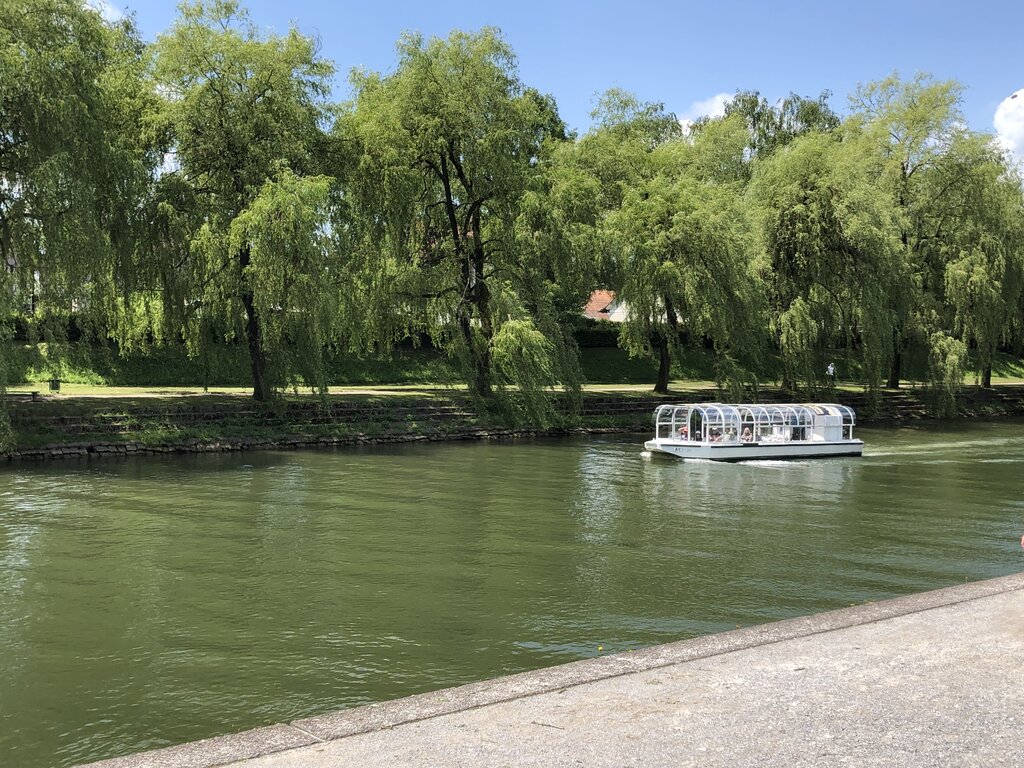 Covered river boat cruising along the Ljubljanica River beneath leafy green trees. Passengers sit inside the glass canopy while the calm water reflects the summer light.