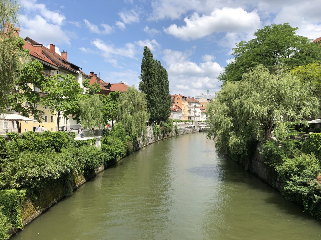 View of the Ljubljanica River lined with leafy trees and pastel buildings with red tiled roofs. The calm green water reflects the bright summer sky.
