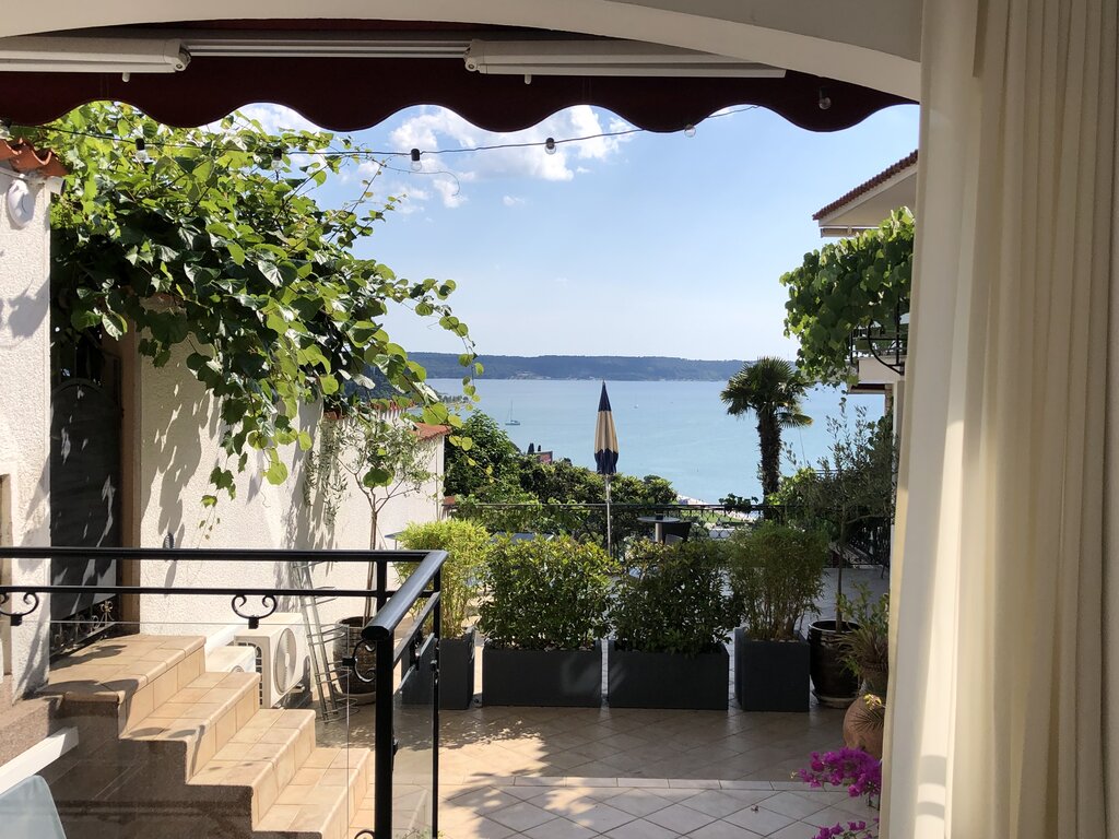 A shaded terrace framed by leafy vines overlooks the Adriatic Sea in Potoroz Slovenia. Potted plants and tiled steps lead toward a scenic coastal view in the distance.