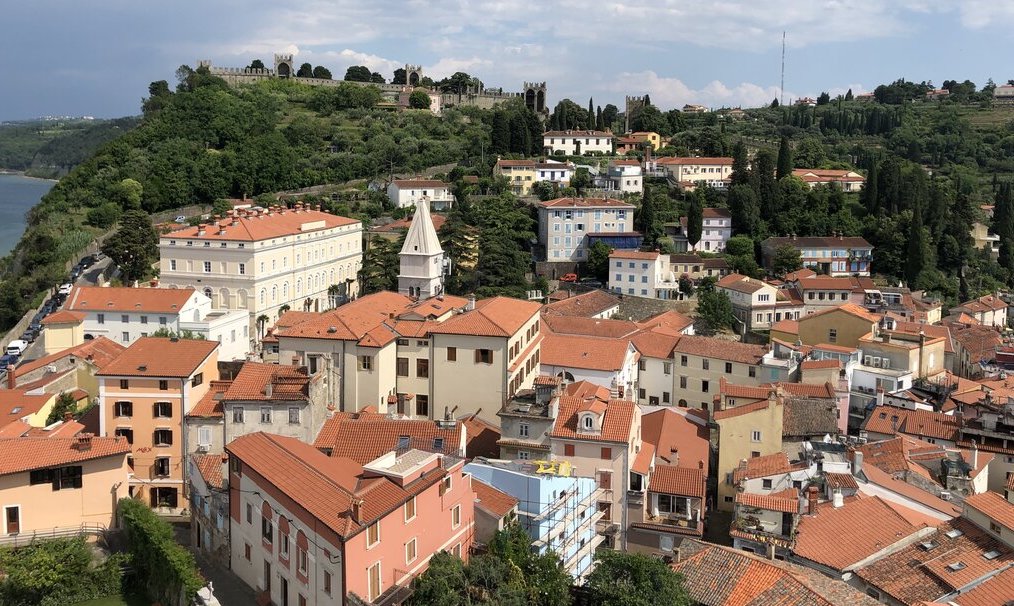 Red roofed houses cluster along a hillside in Piran Slovenia with historic stone walls visible at the top. The layered buildings and lush greenery showcase the town’s coastal setting and medieval heritage.