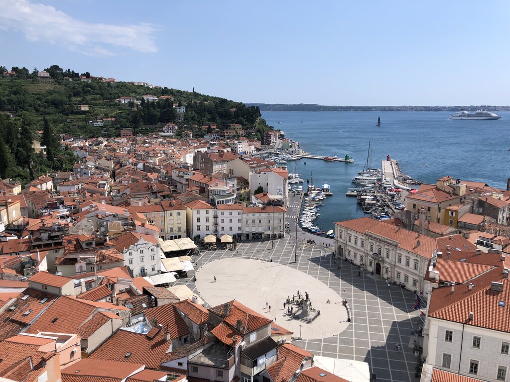 A panoramic view of Piran Slovenia from above shows red tiled rooftops clustered around a large circular town square beside a marina. Boats line the harbour and the deep blue sea stretches toward the horizon under a clear sky.