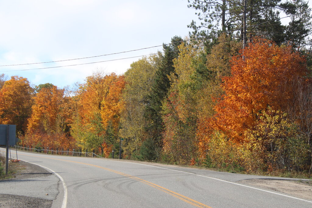 an empty one lane highway curving to the left with the fall colours of the trees along the side of the highway in bright orange, green and yellow