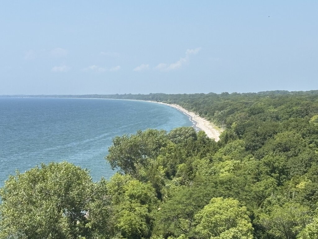 A sweeping view of a forested shoreline curves along the blue waters of Lake Erie in Ontario. The sandy beach below contrasts with dense green trees under a clear sky. This is the view from Tip Tower at Point Pelee National Park