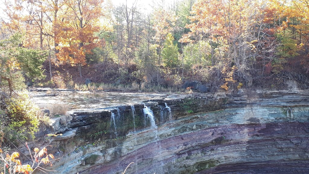 Ball's Falls cascading over layered limestone and shale rock shelves in autumn, with thin streams of water trickling down the exposed rock face, surrounded by a dense forest of trees in orange, red, and gold fall colours.