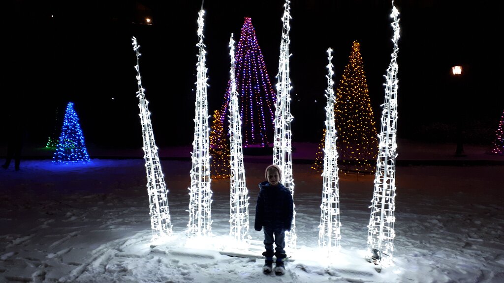 a young boy stands in front of an illuminated set of narrow white christmas trees on a dark night