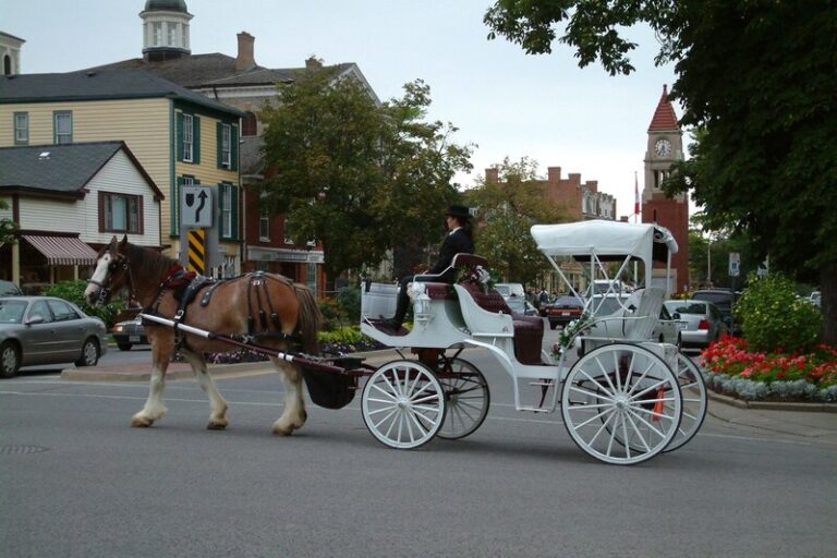 Best Things to Do in the Niagara Region with Kids (Beyond Niagara Falls)