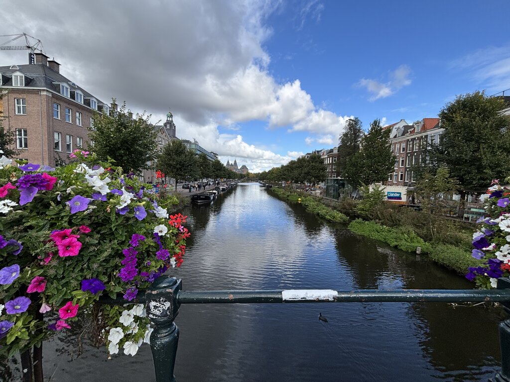 View from a bridge over an Amsterdam canal lined with trees and historic buildings with colourful flowers in the foreground and boats along the water.