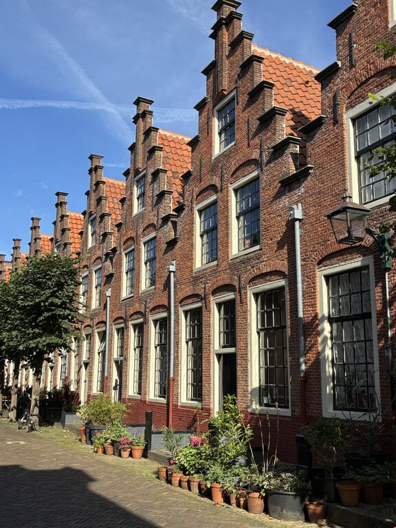 Row of traditional brick houses with stepped gables and orange tiled roofs along a quiet street with potted plants in front in Haarlem, Netherlands