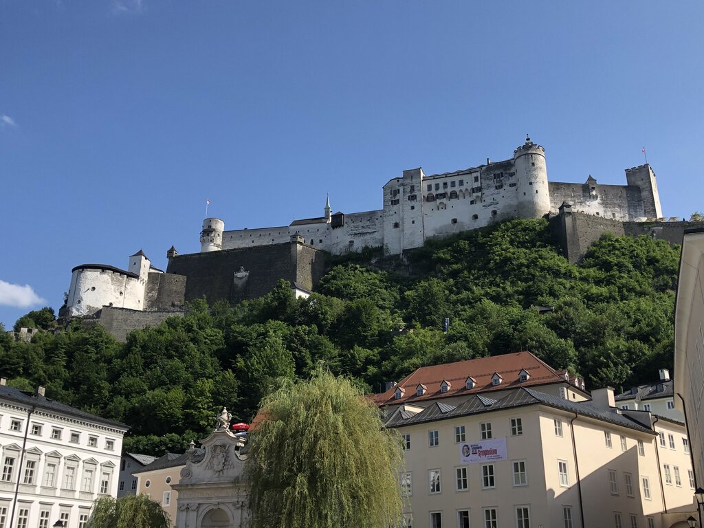 Hohensalzburg Fortress sits high on a wooded hill above the rooftops of Salzburg under a bright blue sky. Historic buildings and leafy trees fill the foreground beneath the massive white fortress walls.