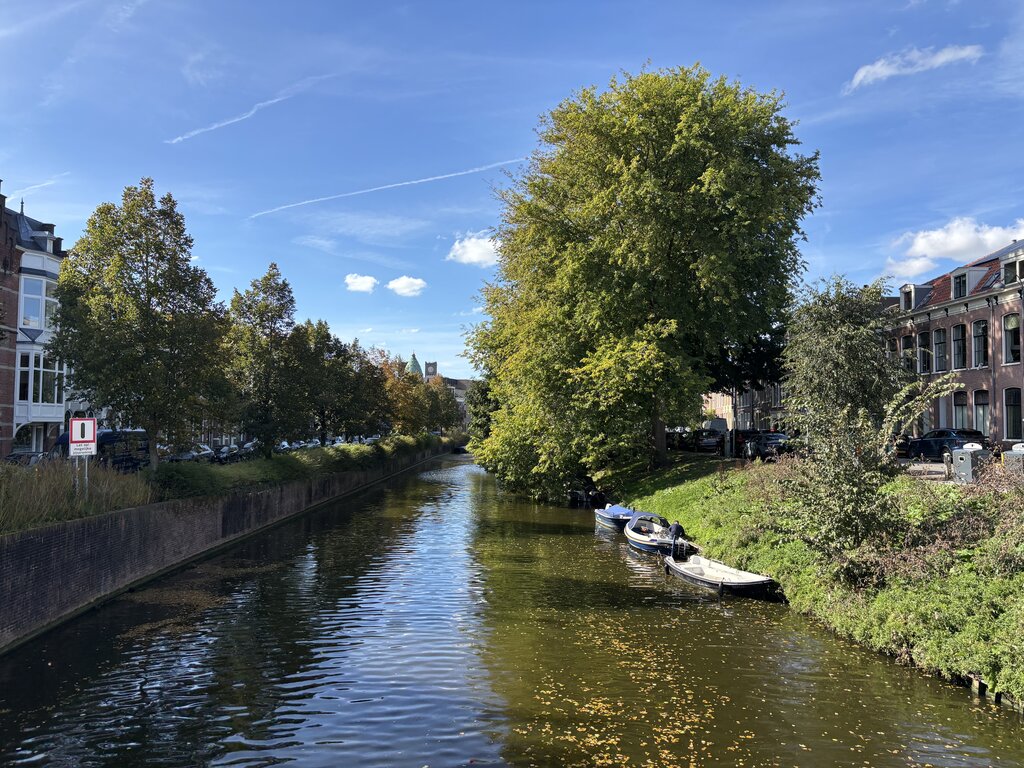 Calm canal in Haarlem, Netherlands, lined with green trees and brick buildings under a bright blue sky. Two small boats are tied along the grassy canal edge beside a quiet residential street.