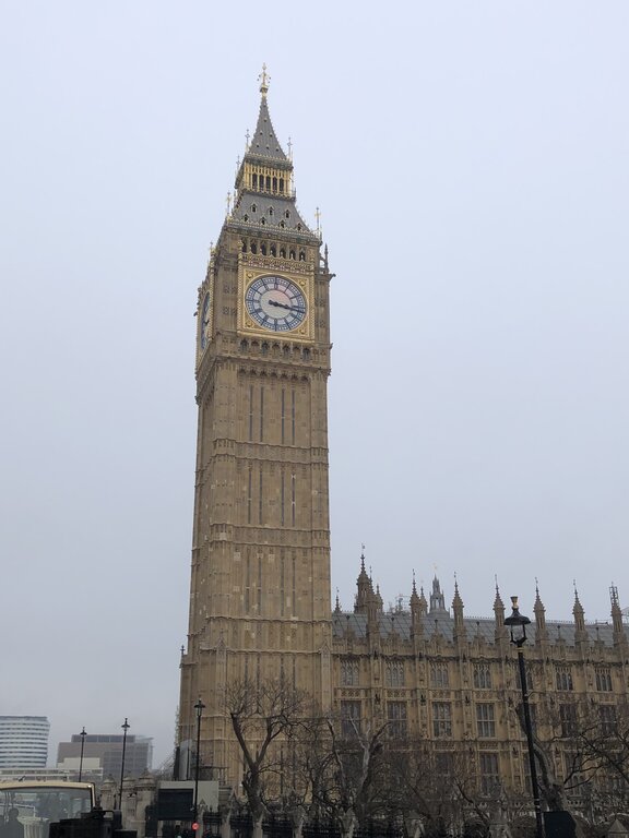 Elizabeth Tower and the Houses of Parliament in London on an overcast day. The ornate clock face of Big Ben stands high above bare winter trees.