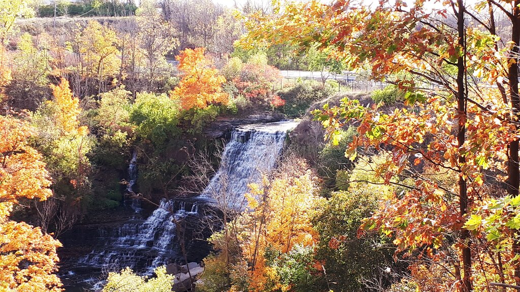 Waterfall cascading down several rocky tiers in a forest filled with vivid orange yellow red and green autumn foliage. A road runs along the hillside above the falls in Hamilton Ontario.