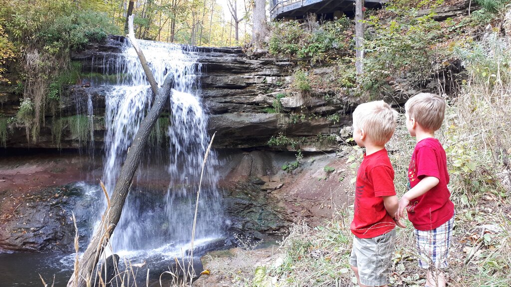 Two young boys in matching red shirts stand beside a rocky creek watching a waterfall cascade over layered stone ledges. A fallen tree trunk crosses in front of the falls amid autumn woodland.