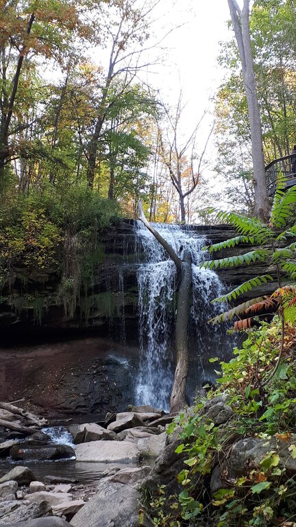 a waterfall flowing over a broad rocky ledge into a shallow creek surrounded by green and autumn foliage. A tree trunk stands directly in front of the falls.