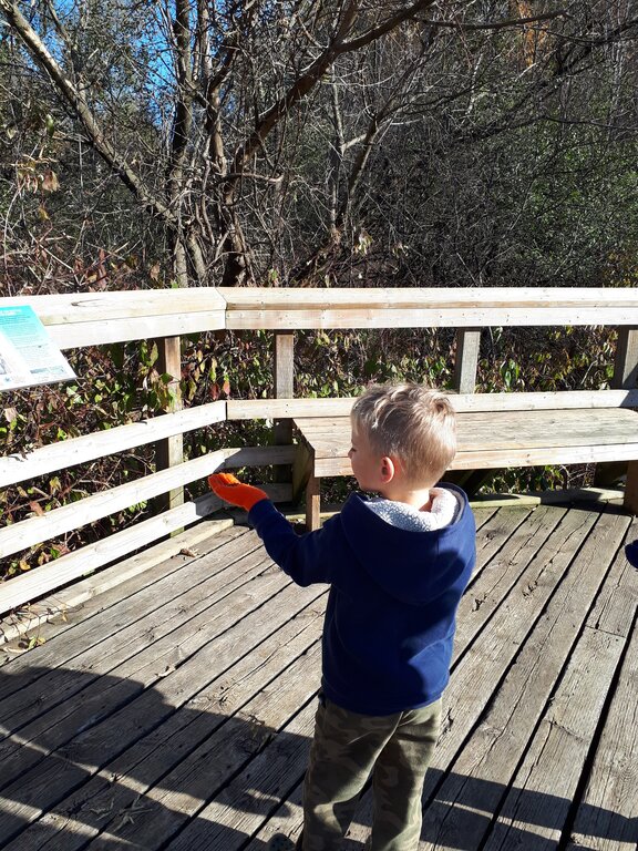 Child stands on a wooden observation platform holding an orange object and looking toward the surrounding woodland. Bare branches and dense vegetation fill the natural area beyond the railing.