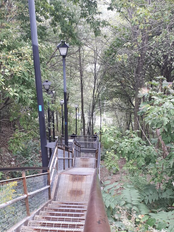 Long metal staircase descends steeply through dense green woodland in Hamilton Ontario. Black lamp posts line the stairs as they wind down the wooded hillside.