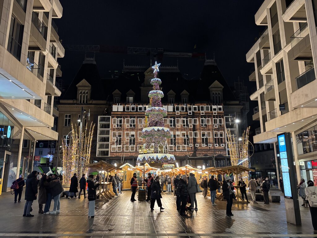 A Christmas market in Luxembourg at night with wooden stalls gathered around a towering illuminated Christmas tree. Strings of warm white lights decorate the surrounding trees as visitors explore the market.